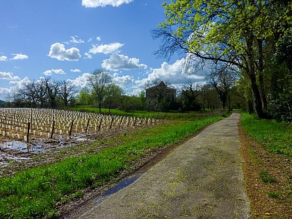 Balade sur les Berges du Lot