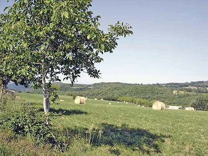 Le Vert , la Belle et les Châteaux