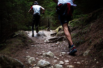 Parcours de Trail - La Guyonnerie