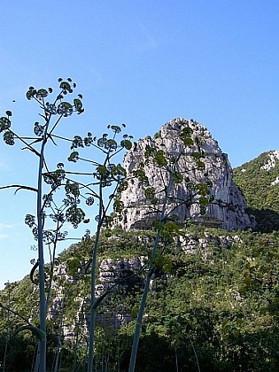 La croix de saint Micisse