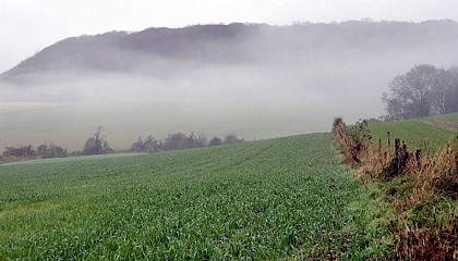 Les Sources