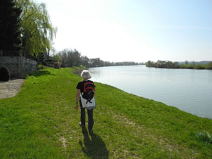 Rive de Saône