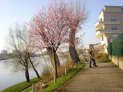 La Seine: sur les chemins de traverse