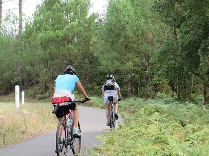 La Vélodyssée - De Seignosse à Capbreton