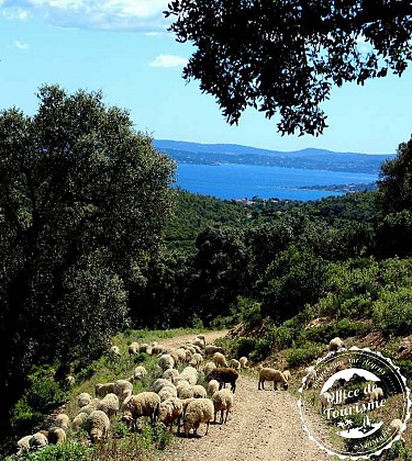 The ‘Agriotier’ Path - GAILLARDE VALLEY LES ISSAMBRES