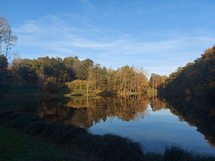 Tour du lac de Morlhon - Morlhon-le-Haut