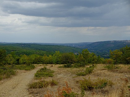 Sentier des Garrigues - Monteils