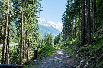 Petit Balcon sud :  Argentière- Les Tines