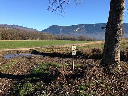 Centre VTT-FFC de l'Albanais - Circuit n°12 'Entre Forêts et Collines'