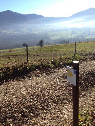 Centre VTT-FFC de l'Albanais - Circuit n°15 'Les Hauts de Saint-Ours'