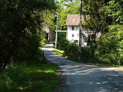 Sentier pédestre " Boucle des deux moulins"
