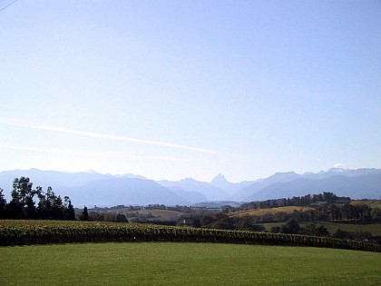 Les coteaux de Jurançon (cyclotourisme)