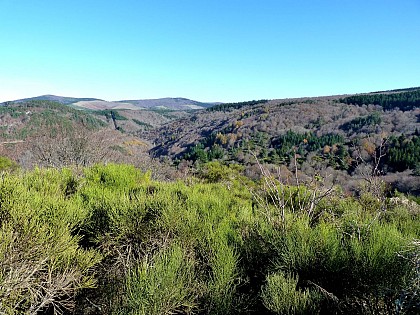 Sentier de Camprieu