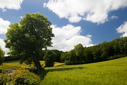 Le sentier du Loup