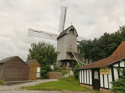 Moulins de Flandre N°1