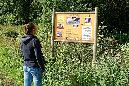 Saint-Lunaire - Grands sites et biodiversité