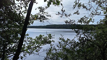 Loop of the Goriaux Pond