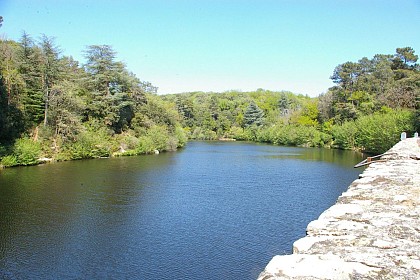 Au fil de l'eau et des moulins à Cenne-Monestiès
