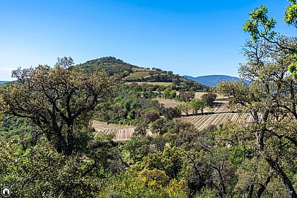 De la Garde Freinet à Grimaud par les Vernades