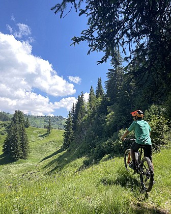 Mountain biking route - The Salvagny Tour