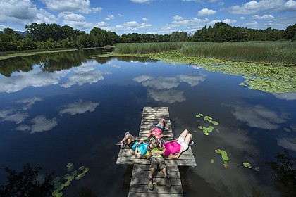 Hike to the Albens Marshlands