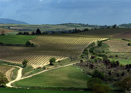Circuit vélo : terroir Haute Vallée - boucle courte