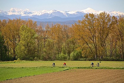 Circuit vélo : territoire Malepère - boucle courte