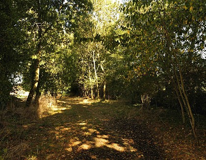 Circuit VTT en Pays de Rennes n°17: Vallée de la Seiche