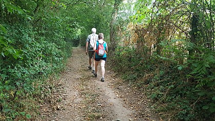 CIRCUIT PÉDESTRE LE SENTIER DU LYS ( LA CHAPELLE AUX LYS)