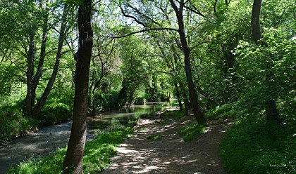 AIX-EN-PROVENCE - From « Cezanne’s footsteps to the balconies of  Aix-en-Provence »