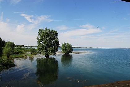 De la forêt d'Argonne au lac du Der