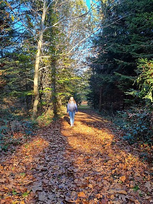 Le sentier d'Emilie à Combiers