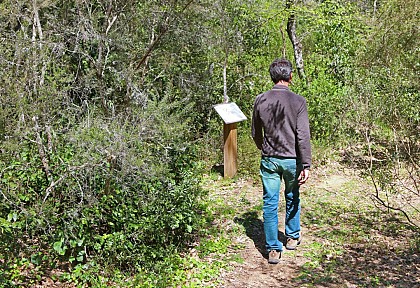 Sentier Botanique