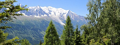 Randonnée à la Flégère depuis Chamonix