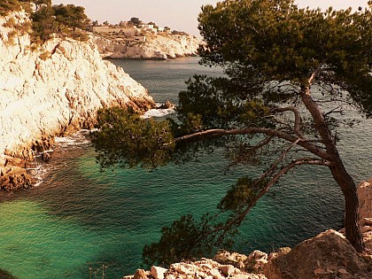 Le Fort de Niolon