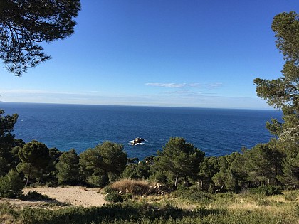 Côte Bleue : Carry-le-Rouet : Calanque et collines