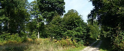 Circuit des 13 chênes