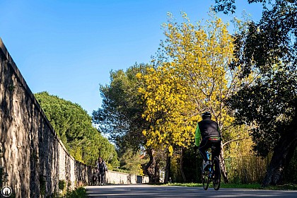 Parcours Cyclable du Littoral - V65 : Grimaud > Sainte-Maxime