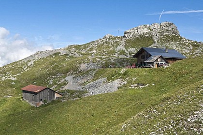 2 jours sur l'alpage de Grenairon avec nuit en refuge