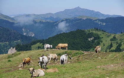 Pic de l'Ourtiset