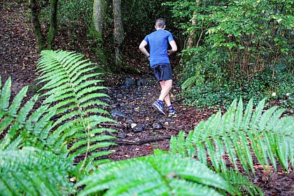 Circuit trail n°2 - De la ville au Bois de Saint-Lazare