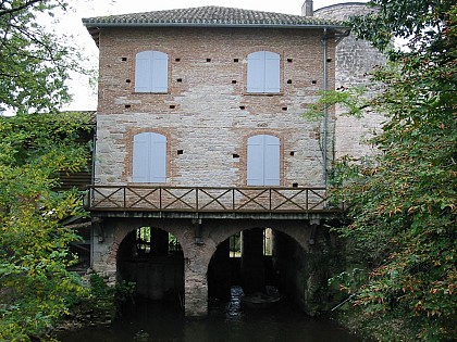 L'art du goût : Nègrepelisse – Forêt de Sarret- Vaissac