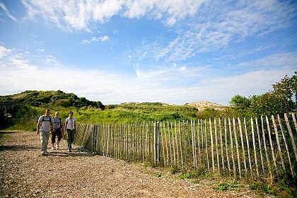 La dune du Royon