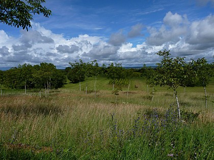 Circuit VTT n°54 - La Colombine - Gy - Vallée de l'Ognon