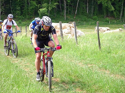 Circuit VTT n°55 - Tour du Bois du bois de Plumont - Gy - Vallée de l'Ognon