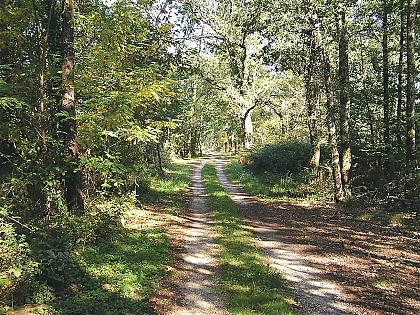 Circuit pédestre N°15a - "Pas de Turia"