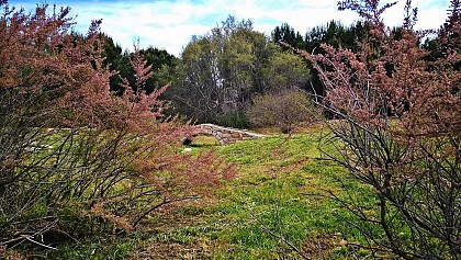 F2R - Parcours santé du lac des rêves à Pérols