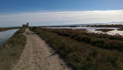 FTT - A la découverte des Salines de Villeneuve-lès-Maguelone