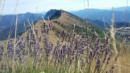 Itinéraire de rando "Le Fourchat"