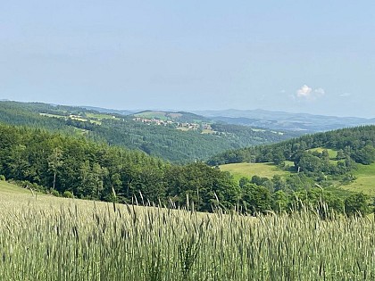 Circuit des Huttes - VTT n°3